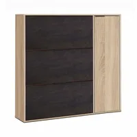 Dmora Schuhschrank Dmagnino, Schuhschrank mit 4 Türen, Niedriger Mehrzweckschrank