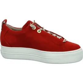Paul Green 5017 salsa 38