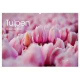 Calvendo Tulpen - Hollands Stolz (Wandkalender 2026 DIN A2 quer), CALVENDO Monatskalender