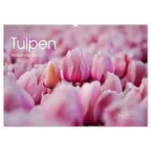 Calvendo Tulpen - Hollands Stolz (Wandkalender 2026 DIN A2 quer), CALVENDO Monatskalender