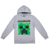 Minecraft Hoodie Grey 134