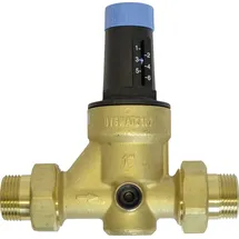 LE SANITAIRE Druckminderer 25,4 mm (1 Zoll) messing