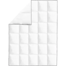 vidaXL Winter-Daunendecke 2 Stk. 135x200 cm