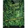 Wizards of the Coast D&D RPG Phandelver Shattered Obelisk Alt. HC