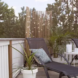 StarTrading STAR Trading LED Berry