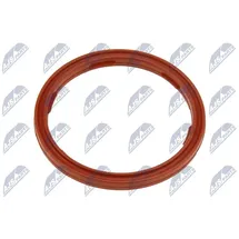 NTY Dichtring, Motorölstandsensor