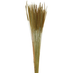 Kunstpflanze GRAS