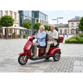ECONELO E-Seniorenmobil Billy 2.0 3-Rad 1000 Watt Rot/Grau