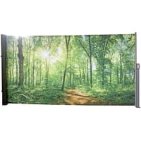 Garden Pleasure Seitenmarkise Waldlichtung mehrfarbig 160,0 x 300,0 cm