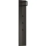 DIETER KNOLL Garderobenpaneel Anthrazit, Graphit, Metall, Glas, Holzwerkstoff, 35x165x26 cm, Kleiderstange, Garderobe, Garderobenpaneele, Garderobenpaneele