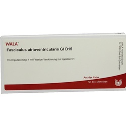 Fasciculus atrioventricularis GL D 15 Ampullen 10X1 ml