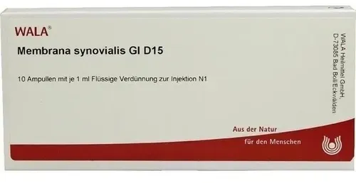 MEMBRANA synovialis GL D 15 Ampullen 10 ml