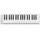 ESI Xkey 37