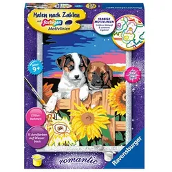 Ravensburger Malen-nach-Zahlen Welpen im Sonnenuntergang mehrfarbig