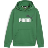 Puma Puma, Jungen, Pullover, ESS+ 2 Col Big Logo Hoodie FL B, Grün, (164)