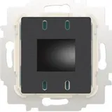 Busch-Jaeger 62843 U-WL Raumtemperaturregler Einsatz