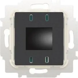 Busch-Jaeger 62843 U-WL Raumtemperaturregler Einsatz