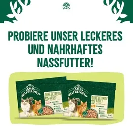 James Wellbeloved Trockenfutter ohne Getreide Truthahn 4 kg