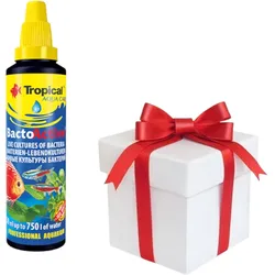 TROPICAL Bacto-Active 100ml + Probe von Tropical Fischfutter