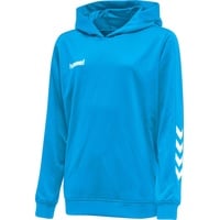 hummel Herren Hmlpromo Poly Hoodie Sweatshirt, Bleu Clair, M