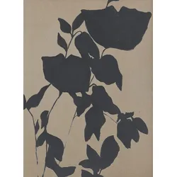 Originalbild FORTUNA BLACK - bunt
