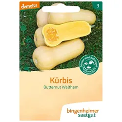 Bingenheimer Saatgut Kürbis Butternut Waltham