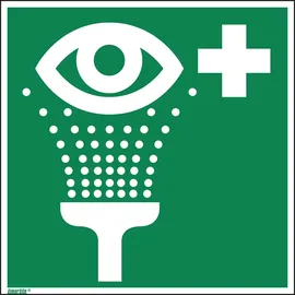 Neutralware Hinweisschild Augenspüleinrichtung ISO 7010 20 x 20 cm Grün/Weiß
