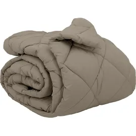 vidaXL Winterbettdecke Hellgrau 240 x 260 cm Mikrofaser