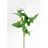 Seidenblumen Roß Künstliche Pfingstrose Nature 68cm weiß mit 3 Blüten GA – Realistische Kunstblume aus Textilfaser – Dekozweig für Vase & Strauß – Hochwertige Seidenblume wie echt