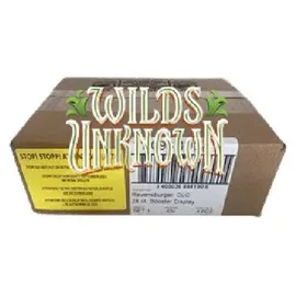 Ravensburger Disney Lorcana Wilds Unknown Booster Display