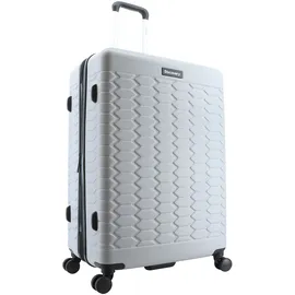 DISCOVERY Koffer REPTILE silber