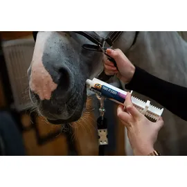 Cavalor Take it easy Paste 60 ml