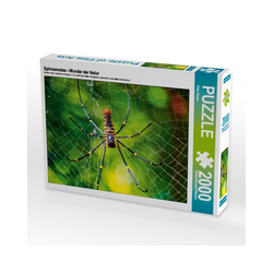 CALVENDO Puzzle CALVENDO Puzzle Spinnennetze - Wunder der Natur 20, 2000 Puzzleteile