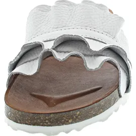 Verbenas Rocio Roda blanco 38