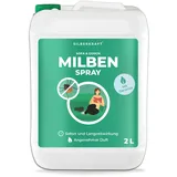 Silberkraft Milbenspray Sofa & Textil 2 l Spray