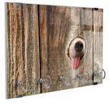 DEQORI Schlüsselbrett 'Neugierige Hundeschnauze', (1 St), Schlüsselhalter Schlüssel Haken Schlüsselboard modern Schlüsselleiste beige|braun