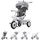 Chipolino Tricycle Futuro 2 in 1 faltbar,