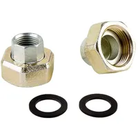 WILO Verschraubung Messing Rp 3/4' i x g 1