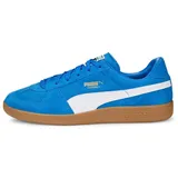 Puma Hallenschuhe, 47