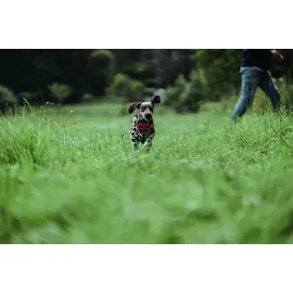 Hunter Divo Hundegeschirr Rot/Grau XS