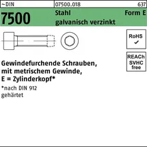 F. REYHER Nchfg. GmbH & Co. KG Gewindefurchende Zylinderkopfschraube M6 x 50 250 Stück