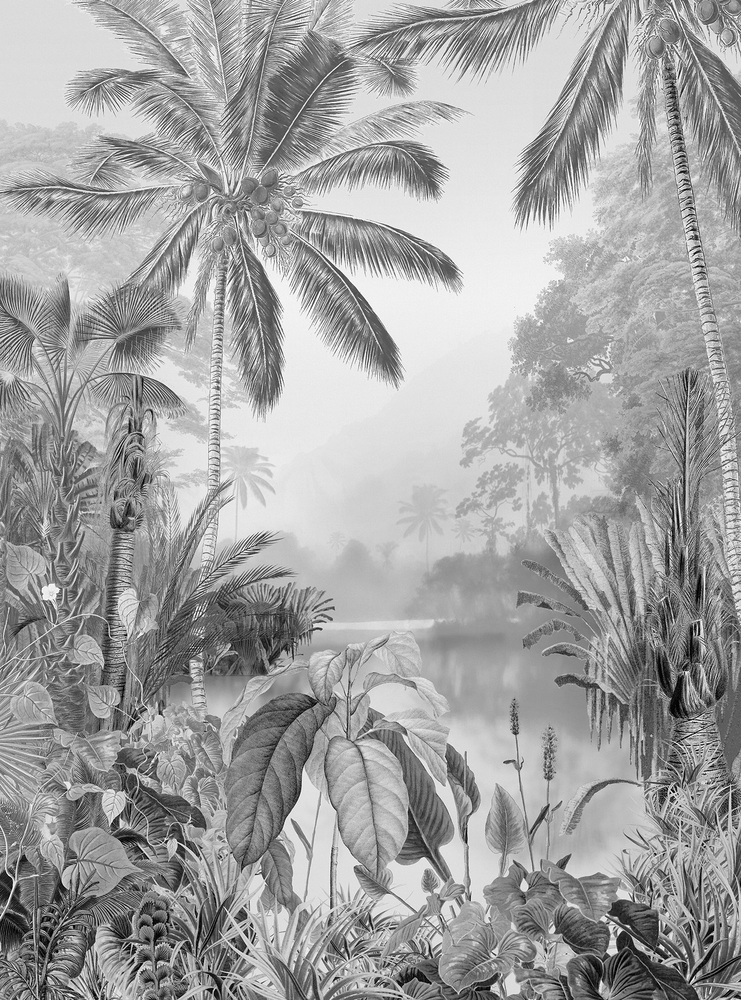 KOMAR Vliestapete "Lac Tropical Black & White" Tapeten Gr. B/L: 200 m x 270 m, Rollen: 1 St., schwarz (schwarz, weiß) Vliestapeten