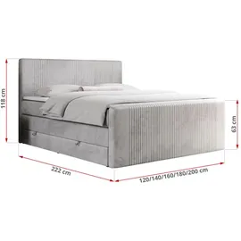 MKS Meble MKS Boxspringbett, Hellgrau, 2-Sitzer, H3, Rechteckig, 160x200 cm, Schlafzimmer, Betten, Boxspringbetten