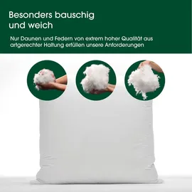 HANSKRUCHEN Premium de Luxe Daunenkissen 80 x 80 cm Weiß