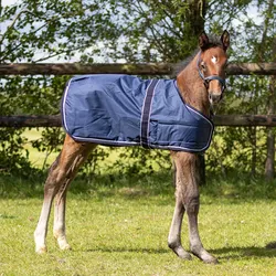 QHP Fohlendecke Turnout 100gr, 65
