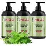 Mielle Organics Haarshampoo Rosmarin Mint für Haarwachstum 3x355 ml Shampoo