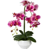 Creativ green Gasper Orchidee Phalaenopsis 52cm, im Keramiktopf, rosa