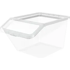 Plast Team Aufbewahrungsbox BASIC BOX SLANTED, 40 Liter transparent