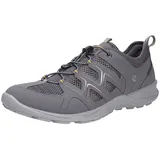 ECCO Terracruise LT Herren Grau 43