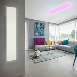 Paul Neuhaus Q-FRAMELESS LED-Panel,120x30cm, Smart Home